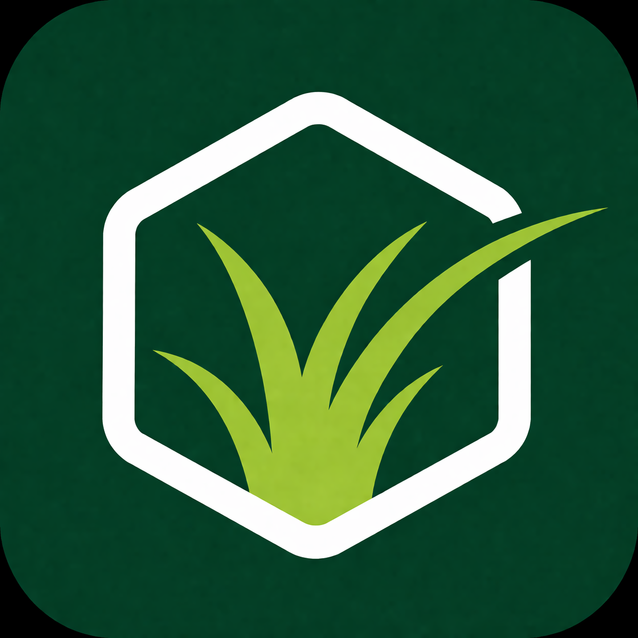 Insight Landscaping Logo
